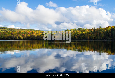 Herbstfarben entlang des St. John River in New Brunswick, Kanada Stockfoto