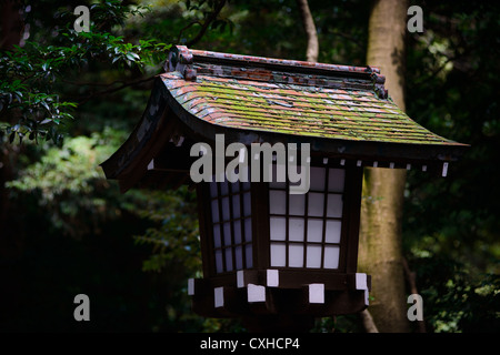 Lampenschirm auf den Pfaden der Meiji-Schrein, Tokyo, Japan Stockfoto