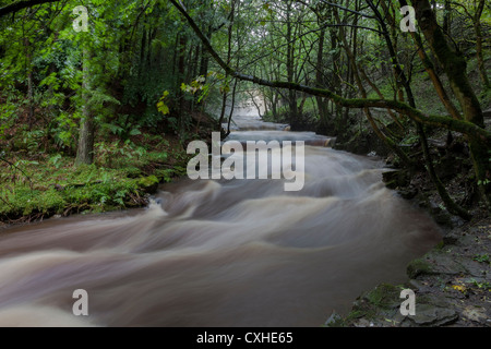 Bowlees Beck und Summerhill Kraft bei Flut, Bowlees, obere Teesdale, County Durham. UK Stockfoto