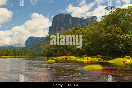 Canaima-Nationalpark, Venezuela Stockfoto