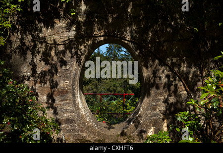 Mond-Fenster in einer Steinmauer, Mount Congreve Gardens in der Nähe von Kilmeaden, Grafschaft Waterford, Irland Stockfoto