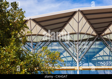 Ascot Racecourse Tribüne in der herrlichen Sonne. Berkshire, England, Vereinigtes Königreich. Stockfoto