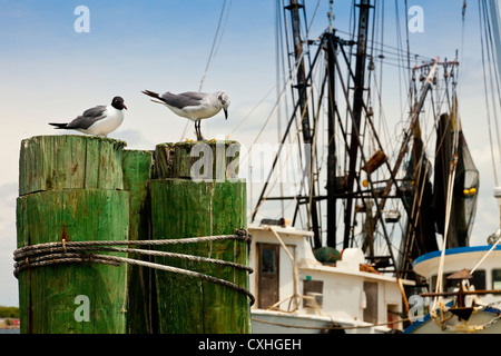 Zwei Möwen mit alten Fischerbooten ruht Stockfoto