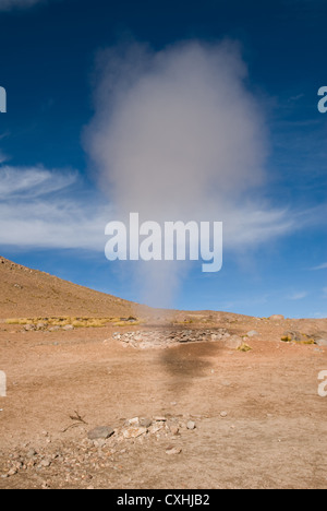 Geysir in blauer Himmel, Altiplano, Bolivien Stockfoto