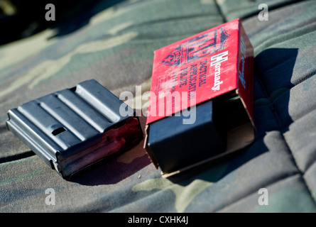 Gemeinsame Basis ELMENDORF - Richardson, Alaska - Anchorage Polizei Abteilung spezielle Waffen und Taktiken (SWAT) Team Offiziere Zug auf dem High-Angle Sniper Strecke am Joint Base Elmendorf-Richardson, Dienstag, August 28, 2012. Die spezialisierte Ausbildung bereitet die Offiziere für mehrere Szenarien, in denen die Treffsicherheit und Aufklärung notwendig sein kann. Stockfoto