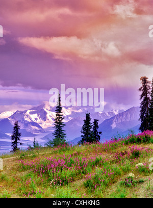 Mt. Sanford und Weidenröschen von Glenn Highway in Alaska gesehen Stockfoto
