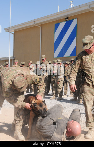 Command Sgt. Maj. David Inglis, 3 Infanterie Division Hauptsitz und Sitz Battalion command Sergeant Major, wartet auf die Hundeführer eine militärische Arbeiten Hund während einer Demonstration der dogsâ€™ Fähigkeiten bei Kandahar Airfield, Sept. 29, 2012 zu beruhigen. Die militärische Arbeitshunde, von 3 Infanterie Division K-9 unit, werden für verschiedene Zwecke einschließlich Schnüffeln für explosive Rückstands und Militärs zu schützen. Stockfoto