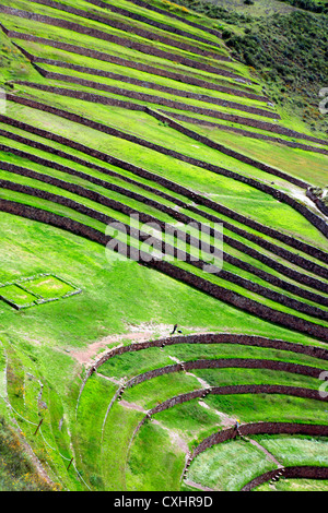 Muränen, archäologische Stätte, Cuzco, Peru Stockfoto