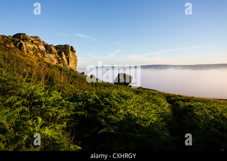 Die Kuh und Kalb Felsen auf Moor, Ilkley, West Yorkshire, bei Sonnenaufgang. Stockfoto