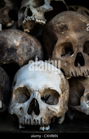 Gebleicht und verfallene menschliche Schädel Stapeln in Choeung Ek Genozid-Denkmal (Tötungfelder), Phnom Penh, Kambodscha Stockfoto