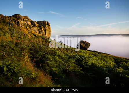 Die Kuh und Kalb Felsen auf Moor, Ilkley, West Yorkshire, bei Sonnenaufgang. Stockfoto