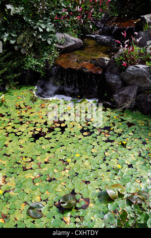 Ein Garten mit kleinem Wasserfall und Teich mit eine Statue von einem