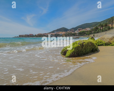 Ein Felsen am Strand von Korsika in Algen bedeckt Stockfoto