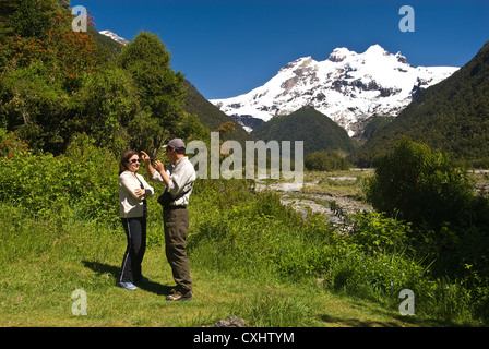 Elk198-3611 Chile, Vicente Perez Rosales Nationalpark, Mount Tronador Stockfoto