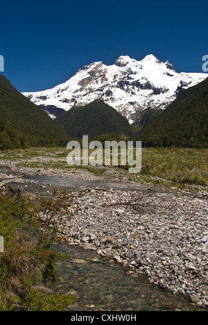 Elk198-3612v Chile, Vicente Perez Rosales Nationalpark, Mount Tronador Stockfoto
