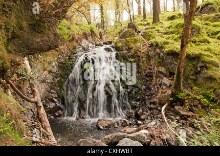 Wasserfälle bei Lane Kopf Niederwald Stockfoto