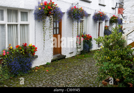 hängende Blüten und weißen Gebäude, Wordsworth gerendert Stadt Straße Hawkshead Cumbria North West England UK Stockfoto