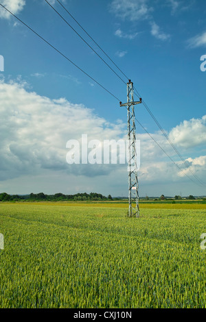 Landschaftsbild der Umgebung Dugo Selo, Kroatien Stockfoto