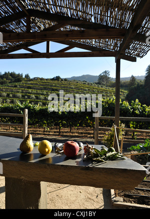 Benziger-Familie Weingut über San Francisco Stockfoto