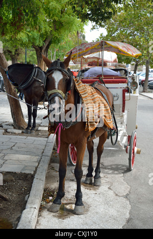 Dekorierte Pferdekutsche in Altstadt Korfu, Kerkyra, Korfu, Ionische Inseln, Griechenland Stockfoto