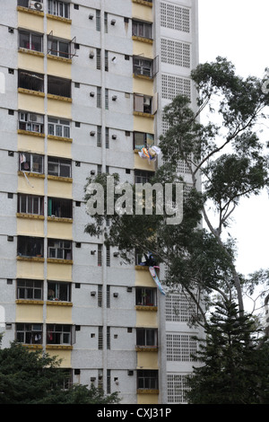 Es ist ein Foto eines Details einer Rates Wohnung in Hongkong. Wir sehen viele Ebenen mit vielen Fenstern. Es ist überfüllt, Asien Stockfoto