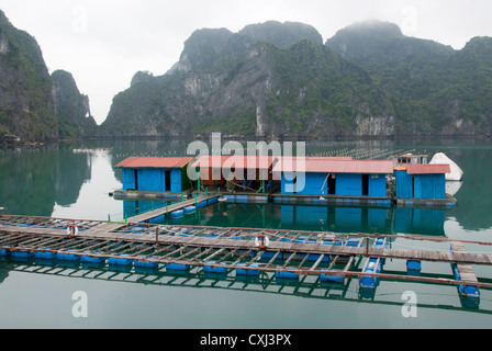 Schwimmende Pearl Farm und Kalkstein Karst Felsformationen, Halong Bucht, Vietnam Stockfoto