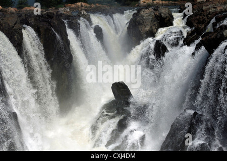 Hogenakkal stürzen oder Hogenakal Fälle; Tamil Nadu; Indien Stockfoto