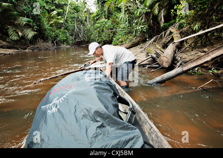 Dschungel-Führer eine Kanu Samiria Fluss in Pacaya Samiria Nationalpark entlang ziehen. Amazonas, Peru. Stockfoto