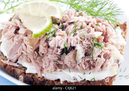 Thunfisch-sandwich Stockfoto