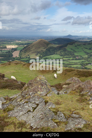 Der Blick über die Hügel Stretton von Caer Caradoc. Lawley und The Wrekin sehen in der Ferne Stockfoto