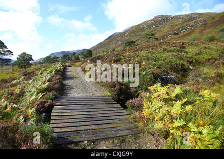 Glen Affric schottischen Highlands Schottland, Vereinigtes Königreich Stockfoto