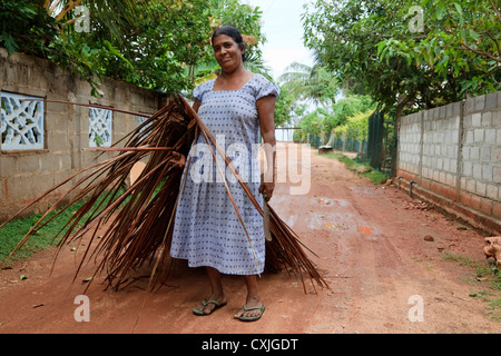 Ältere Frau aus Waikkal Dorf, verzweigt sich Sri Lanka schneiden Palme mit einer machete Stockfoto