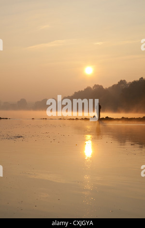 Weichsel im Kampinos in der Nähe von Warschau, Masowien, Polen, Europa, EU. Stockfoto