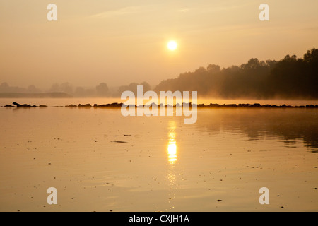 Weichsel im Kampinos in der Nähe von Warschau, Masowien, Polen, Europa, EU. Stockfoto