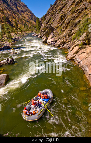 Wildwasser-Rafting auf dem Main Salmon River in der Nähe der Mündung des Middle Fork des Salmon River, Idaho Stockfoto