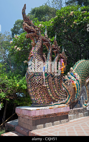 Naga (siebenköpfige Schlange) Dekoration auf Baluster, Wat Phrathat Doi Suthep, Provinz Chiang Mai, Thailand Stockfoto