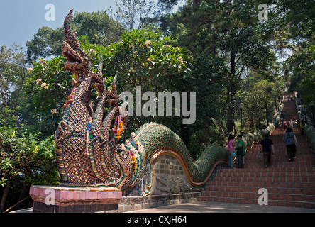 Naga (siebenköpfige Schlange) Dekoration auf Baluster, Wat Phrathat Doi Suthep, Provinz Chiang Mai, Thailand Stockfoto