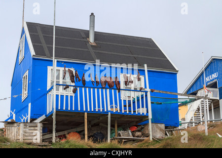 Robbenfleisch Trocknung hängt vor einem bunt bemalten Haus Itilleq, ein Dorf von 85 Inuit-Menschen in Grönland Stockfoto