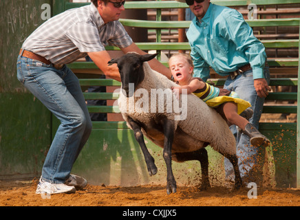 Junge Cowgirl Reiten Schafe Hammel Busting Event Rodeo, Bruneau, Idaho, USA Stockfoto