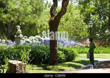 Gärtner, die Bewässerung der Pflanzen in den Gärten (Jardim Público de Évora), Stadtzentrum, Evora, Alentejo, Portugal Stockfoto