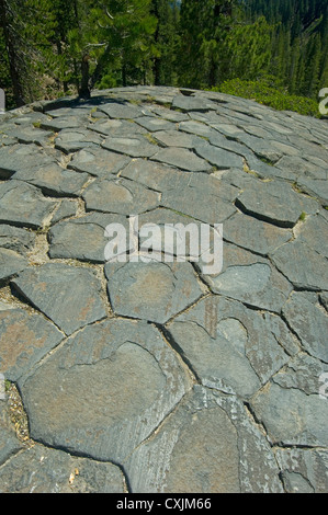 Oberseite des säulenförmigen Basalt, der Teufel Postpile National Monument, Mammoth Lakes Area, östliche Sierra, Kalifornien Stockfoto