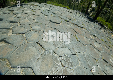 Oberseite des säulenförmigen Basalt, der Teufel Postpile National Monument, Mammoth Lakes Area, östliche Sierra, Kalifornien Stockfoto