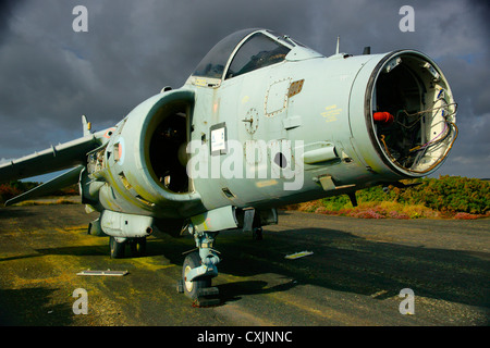 Verfallene Harrier "GR3 XZ969, Sea Harrier FRS1 ZD581 und Harrier T4 XW271 Predannack Airfield, Cornwall, UK Stockfoto