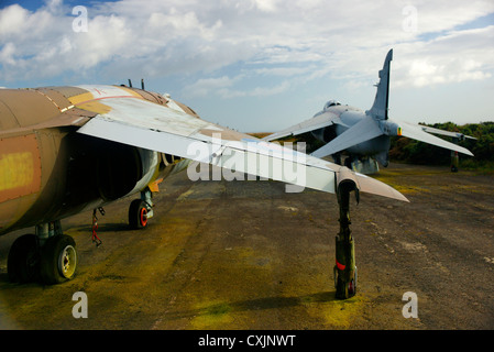 Verfallene Harrier "GR3 XZ969, Sea Harrier FRS1 ZD581 und Harrier T4 XW271 Predannack Airfield, Cornwall, UK Stockfoto