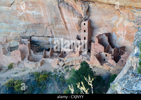 Alten indischen Ruinen im Square Tower House in Navajo Canyon, Mesa Verde National Park, in der Nähe von Cortez, Colorado USA Stockfoto