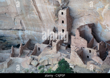 Alten indischen Ruinen im Navajo Canyon, Mesa Verde National Park, in der Nähe von Cortez, Colorado USA Stockfoto