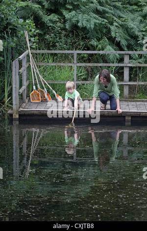 Teich Minsmere RSPB Suffolk UK GB eintauchen Stockfoto