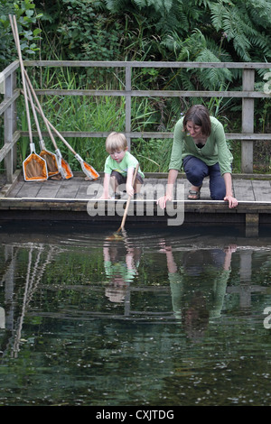 Teich Minsmere RSPB Suffolk UK GB eintauchen Stockfoto