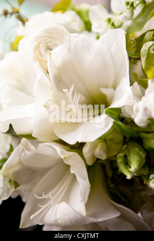 Nahaufnahme der Brautstrauß Stockfoto