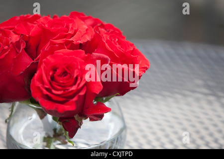 Nahaufnahme der Rosen Stockfoto